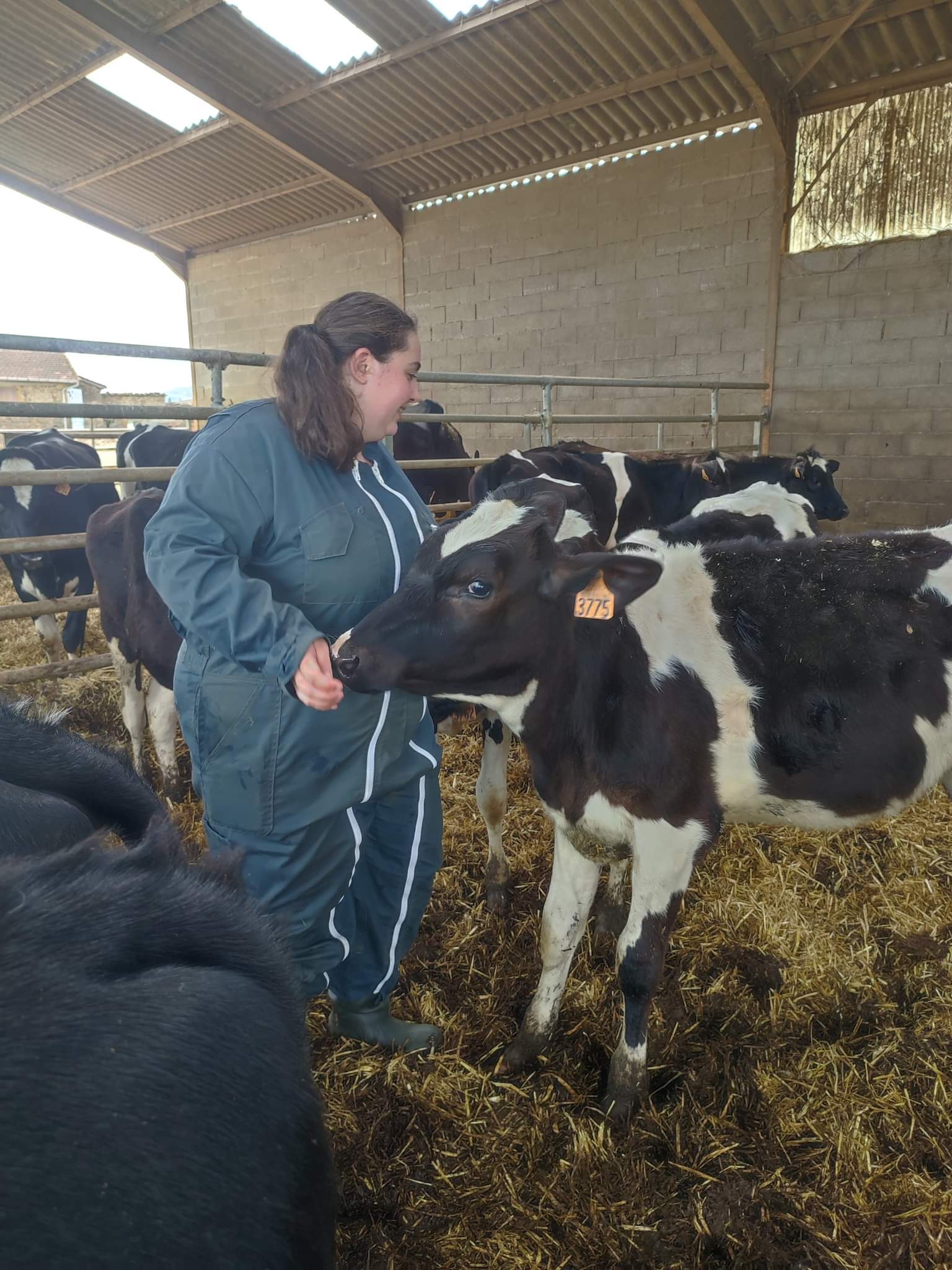 received_304702538404746